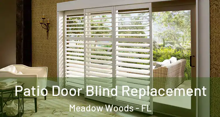  Patio Door Blind Replacement Meadow Woods - FL