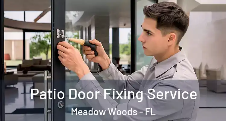  Patio Door Fixing Service Meadow Woods - FL