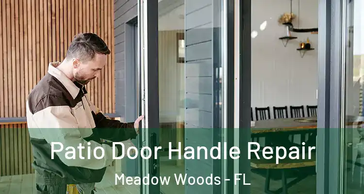  Patio Door Handle Repair Meadow Woods - FL