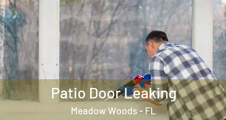  Patio Door Leaking Meadow Woods - FL