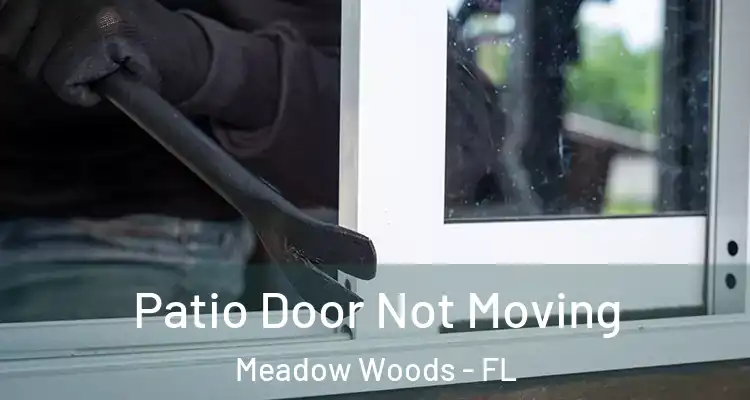  Patio Door Not Moving Meadow Woods - FL