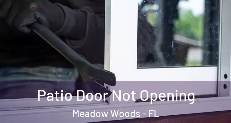  Patio Door Not Opening Meadow Woods - FL