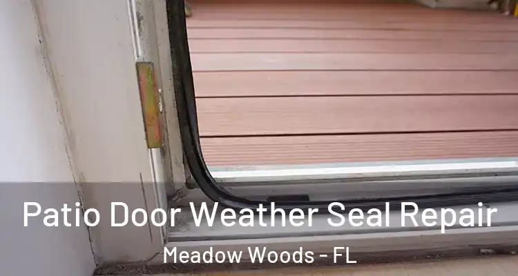  Patio Door Weather Seal Repair Meadow Woods - FL
