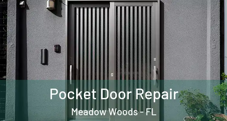  Pocket Door Repair Meadow Woods - FL