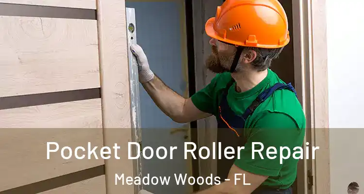  Pocket Door Roller Repair Meadow Woods - FL
