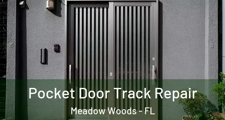  Pocket Door Track Repair Meadow Woods - FL