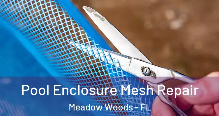  Pool Enclosure Mesh Repair Meadow Woods - FL