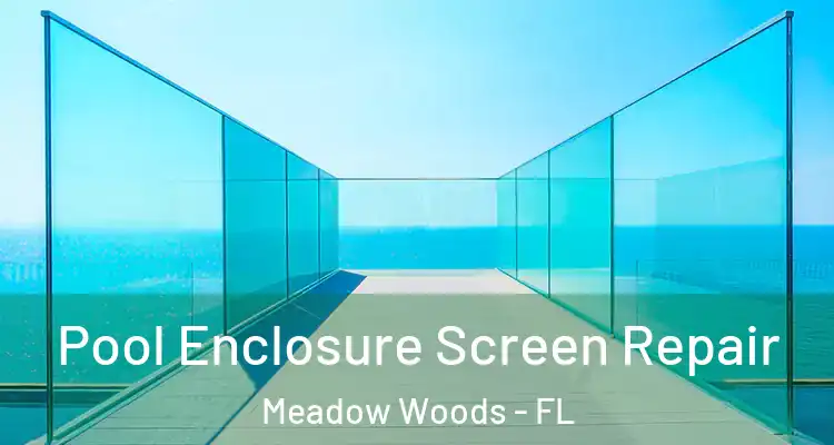  Pool Enclosure Screen Repair Meadow Woods - FL