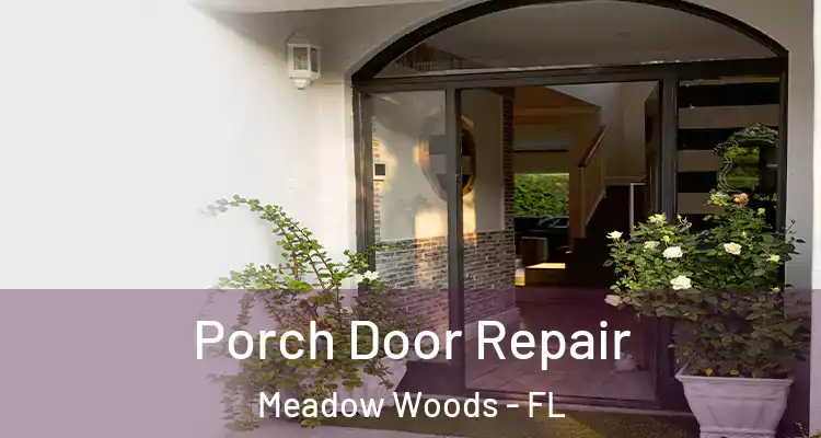  Porch Door Repair Meadow Woods - FL