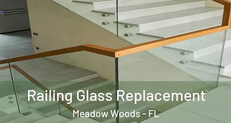  Railing Glass Replacement Meadow Woods - FL