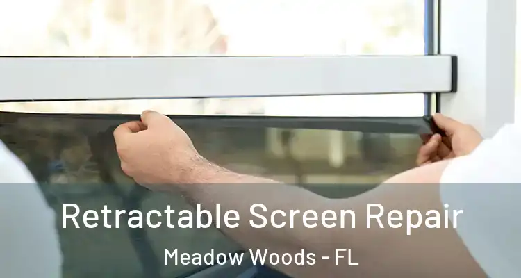  Retractable Screen Repair Meadow Woods - FL