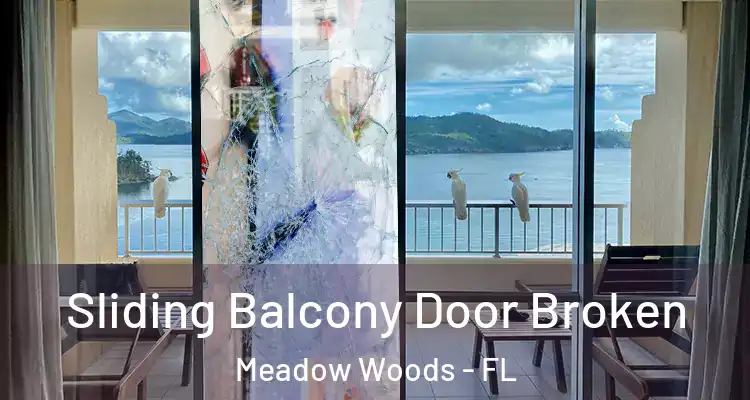  Sliding Balcony Door Broken Meadow Woods - FL