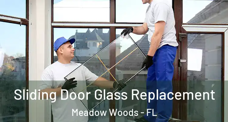  Sliding Door Glass Replacement Meadow Woods - FL
