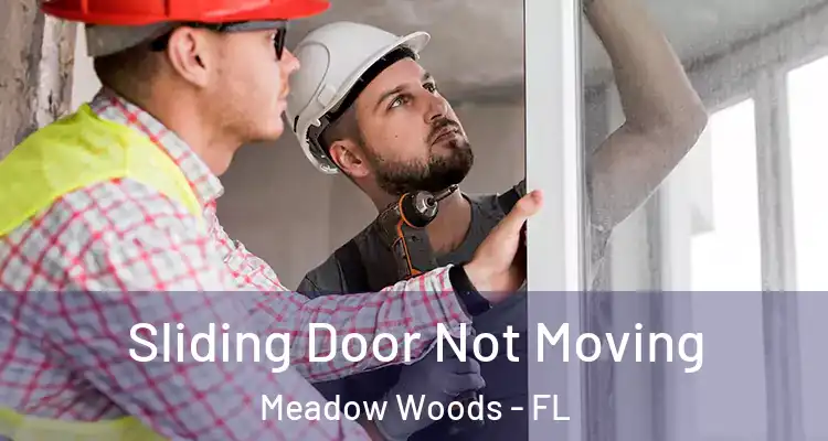  Sliding Door Not Moving Meadow Woods - FL