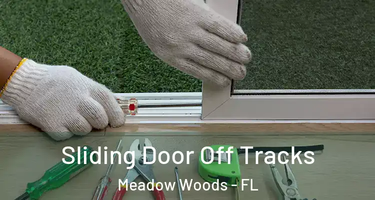  Sliding Door Off Tracks Meadow Woods - FL