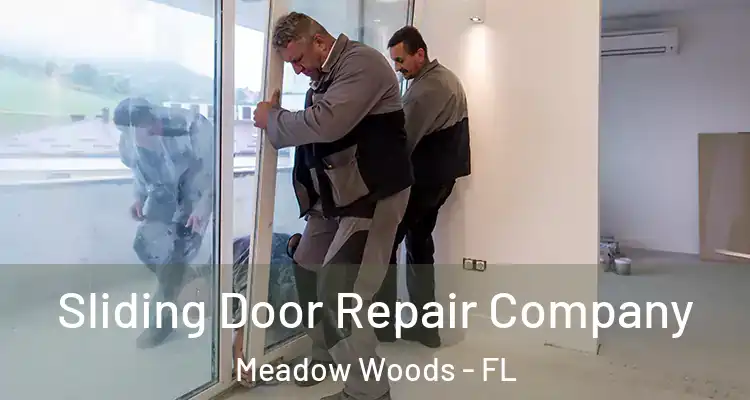  Sliding Door Repair Company Meadow Woods - FL