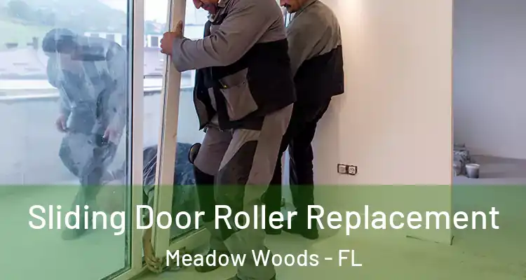  Sliding Door Roller Replacement Meadow Woods - FL