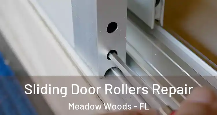  Sliding Door Rollers Repair Meadow Woods - FL
