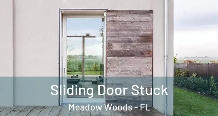  Sliding Door Stuck Meadow Woods - FL