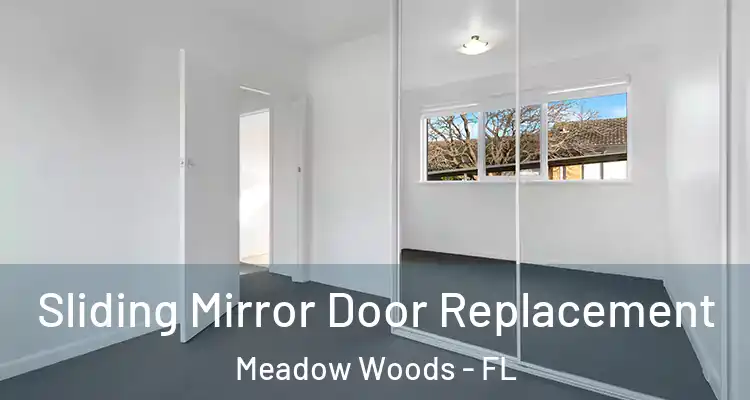  Sliding Mirror Door Replacement Meadow Woods - FL