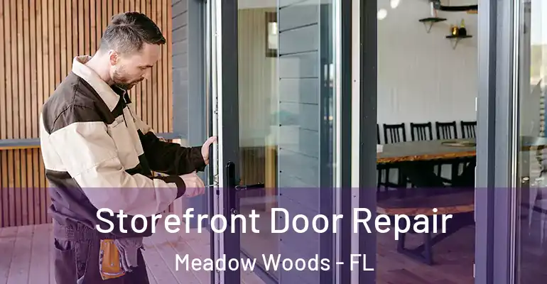  Storefront Door Repair Meadow Woods - FL