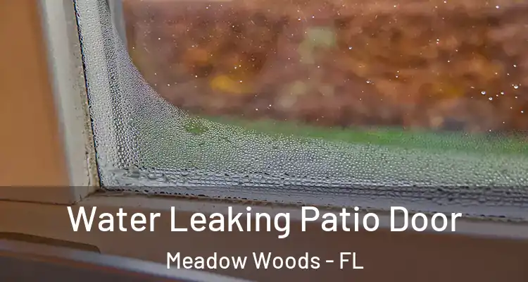  Water Leaking Patio Door Meadow Woods - FL