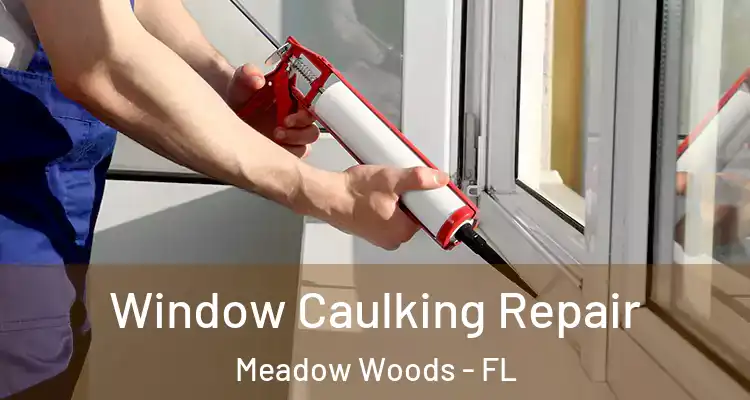  Window Caulking Repair Meadow Woods - FL