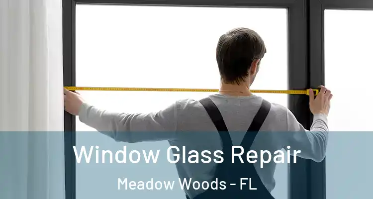  Window Glass Repair Meadow Woods - FL