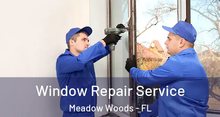  Window Repair Service Meadow Woods - FL