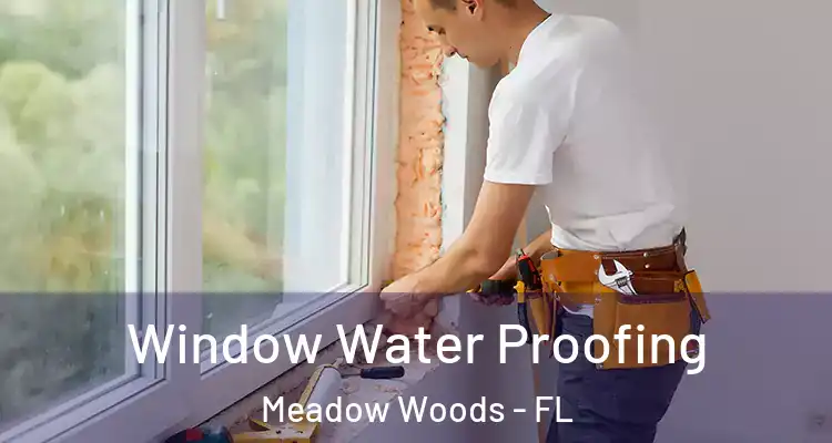  Window Water Proofing Meadow Woods - FL